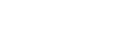 ブリスケの楽しみ方